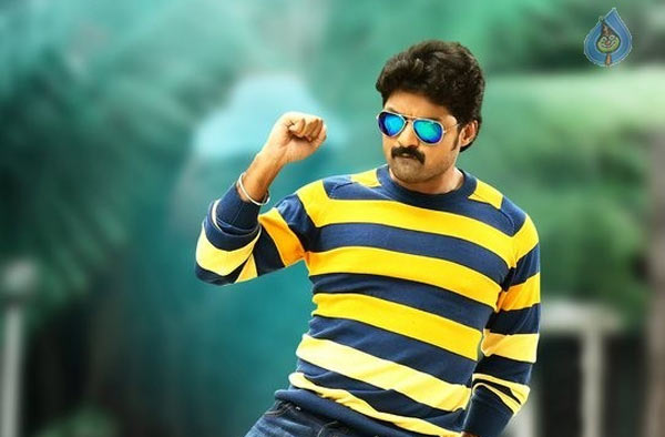 sher release,sher business,nandamuri kalyanram,mallikarjun director  షేర్ వైపూ చూడండి బాబులూ